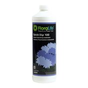 FLORALIFE®QUICK DIP 100, revitalizace květin po přepravě