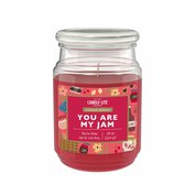 Vonná svíčka You Are My Jam - 510g