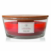 Vonná svíčka Winter Red Berries - 453g