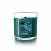 Vonná svíčka Blue Spruce - 269g