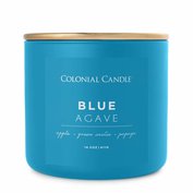 Vonná svíčka Blue Agave - 411g