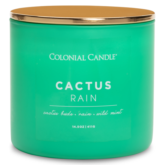 duftkerze cactus rain 411g