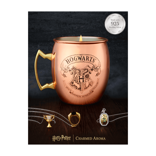 vonna svicka harry potter copper mug horcrux nahrdelnik