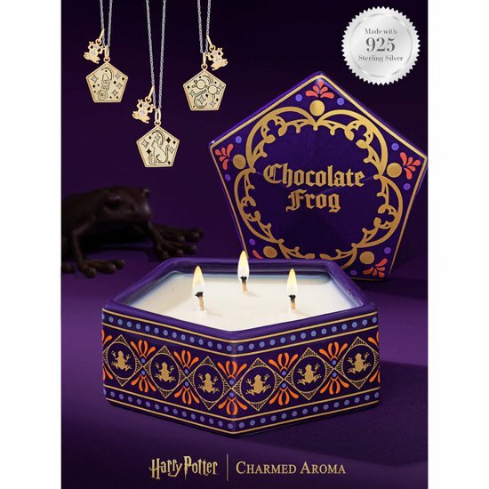 VONNA SVICKA harry potter chocolate frog KOUZELNICKE KARTY NAHRDELNIK