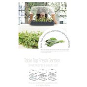 Set sadbovačů a nářadí 14v1 RESPANA TABLE TOP SEED STARTER SET - barva: antracit Set sadbovačů a nářadí 14v1 RESPANA TABLE TOP SEED STARTER SET - barva: antracit