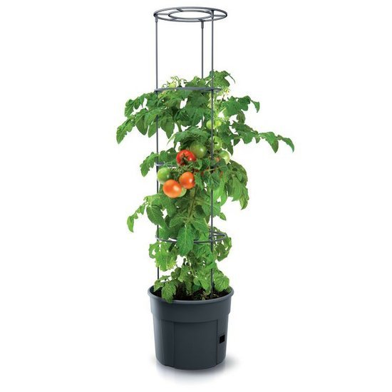Speciální květináč na pěstování rajčat