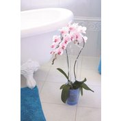 Podpěra na orchidej DECOR II zelená transparentní 55 cm